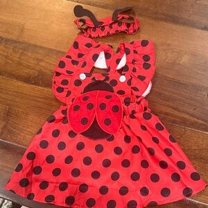 Ladybug Polka Dot Kids Costume